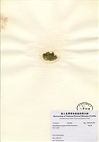 藏品(網球藻)的圖片